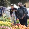 Castiglione del Lago, la “Festa del Tulipano” accelera: prima “Calici e Tulipani” e “Gustum”, poi la parata del Primo Maggio