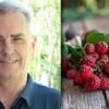 Caldo ‘booster’ stanchezza e cali di pressione, ecco come evitare lo stress termico