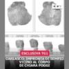Garlasco, Tg1: “Impronta di Sempio vicino al corpo di Chiara Poggi”