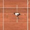 Roland Garros, Alcaraz e il super-punto che non vale – Video