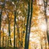 Ancora sole al Centro-Nord, maltempo in arrivo al Sud nel fine settimana: temperature in discesa