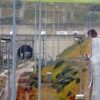 Francia, minibus si scontra con treno fermo all’ingresso del tunnel della Manica: 19 feriti di cui 5 gravi