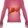 Malattie autoimmuni del fegato, nuova strategia con nanovettori in studio italiano